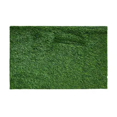 Tapete de entrad Grass mat 40x60 cm