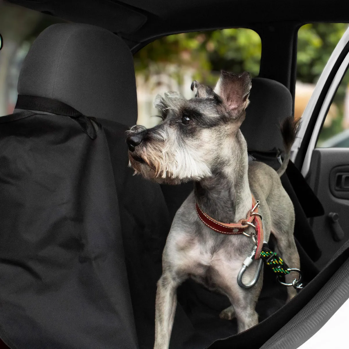 Cubierta de Auto para Mascota Mikels, marca Mikels - Foto 2