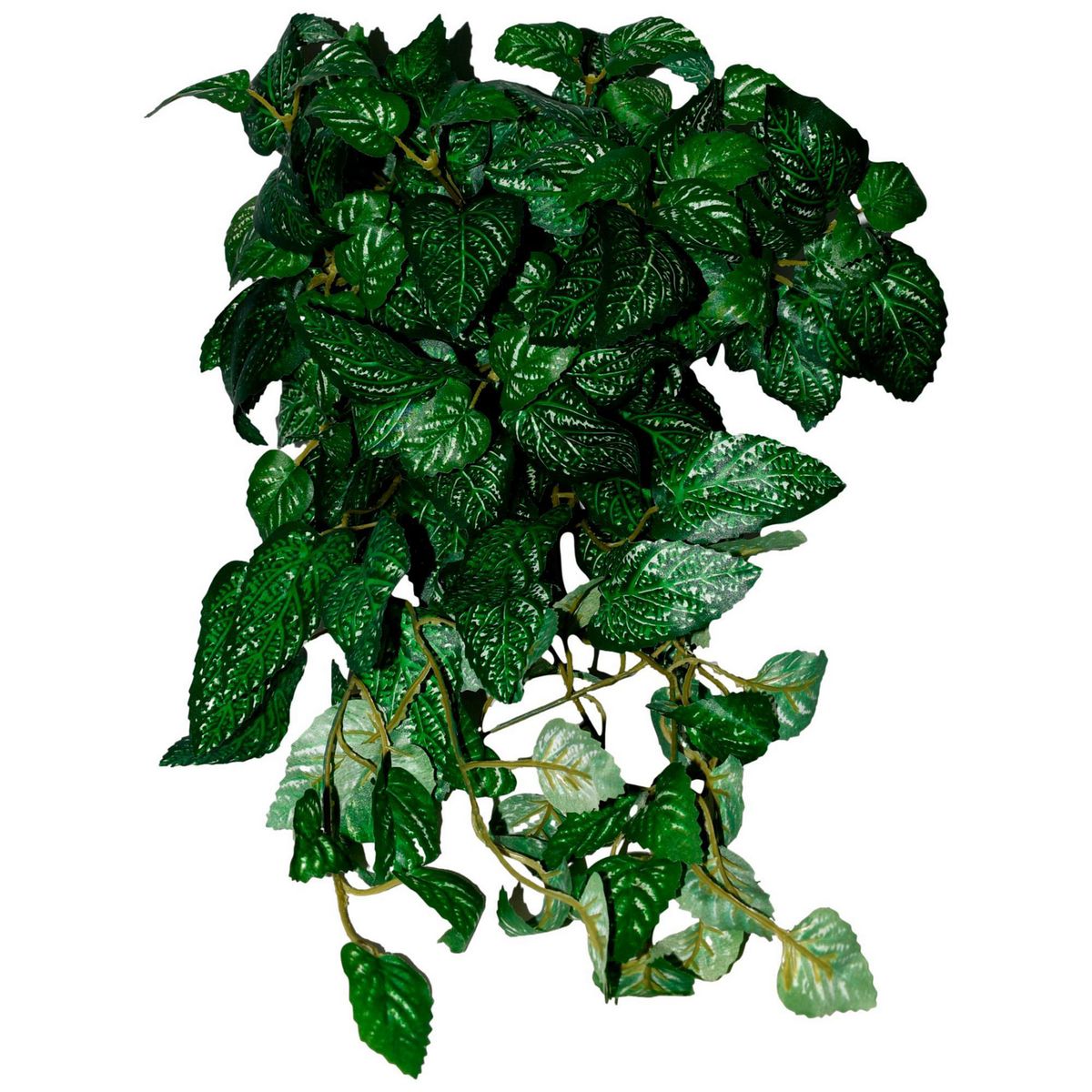Colgante Epazote Verde, marca Rosedal - Foto Principal