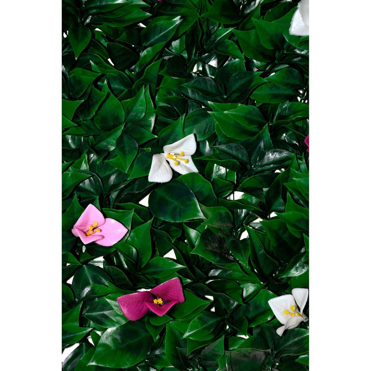 Follaje De Bugambilia 50X50 Blanco/Vde, marca Rosedal - Foto 2