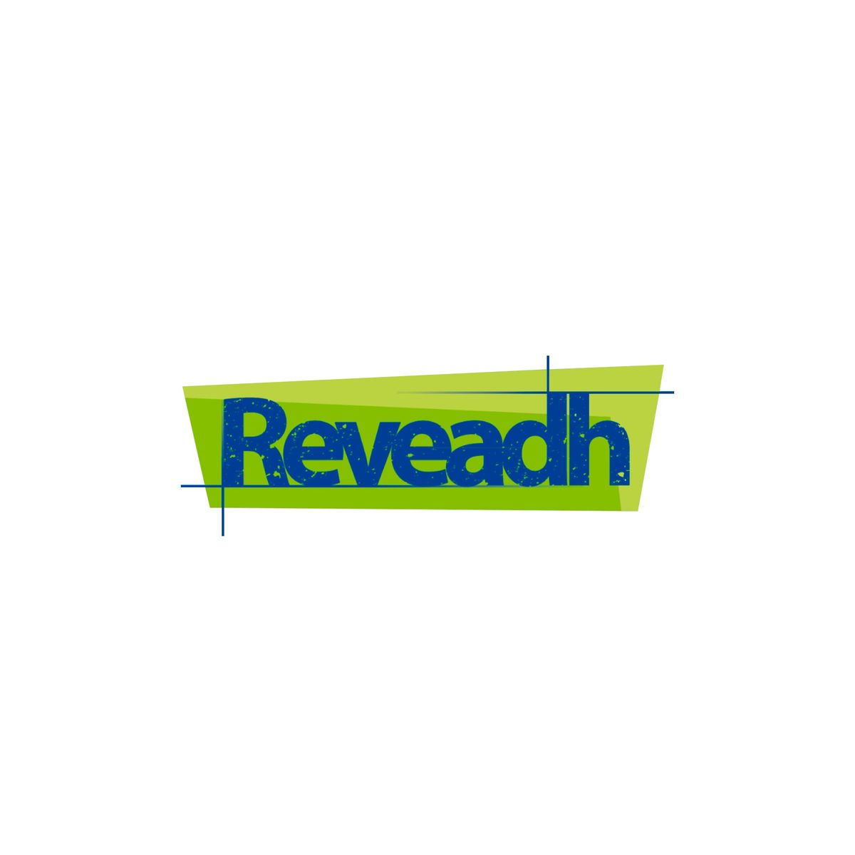 REVEADH - Tinte Negro Reveadh 70 cc