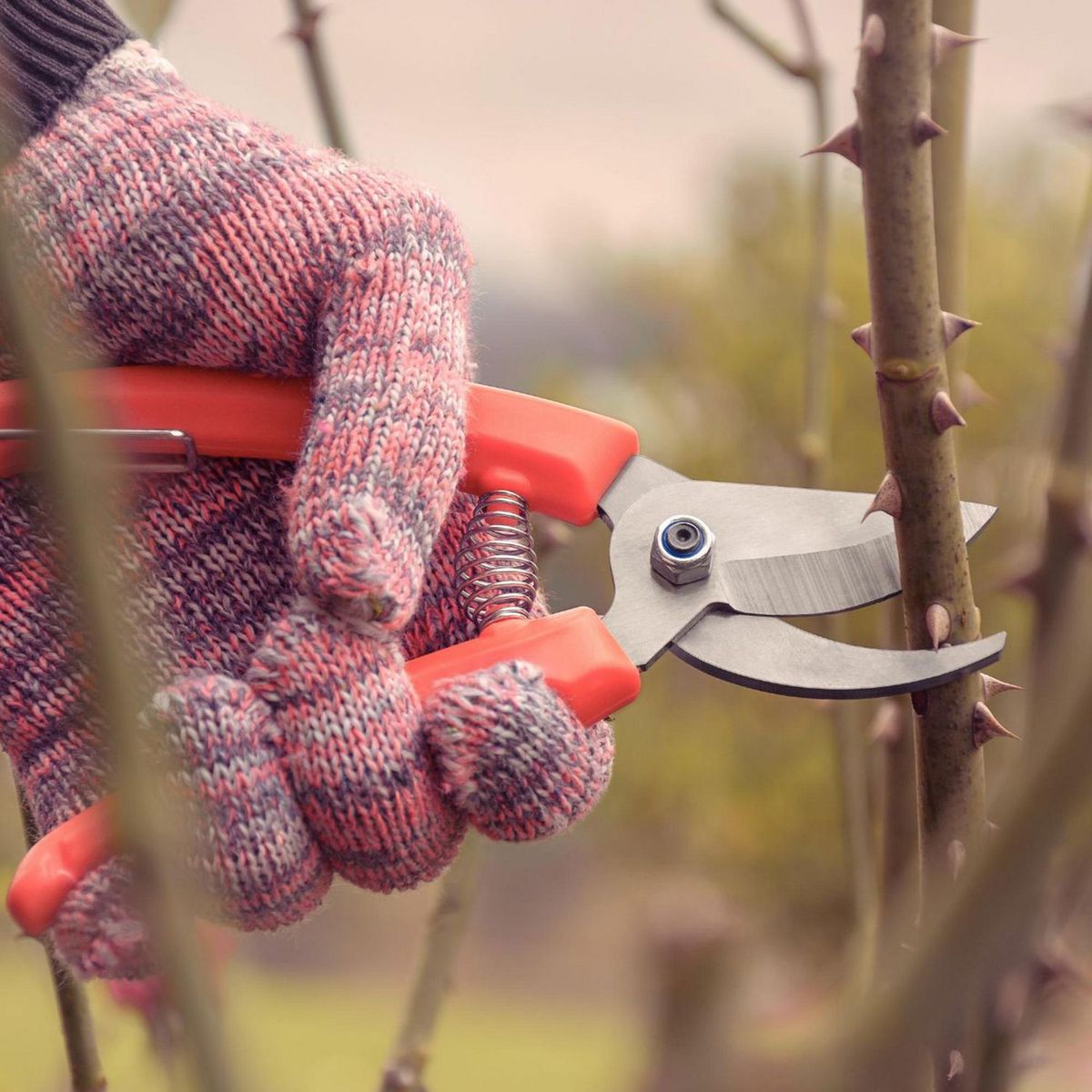 TRAMONTINA - Tijera Bypass Para Jardin