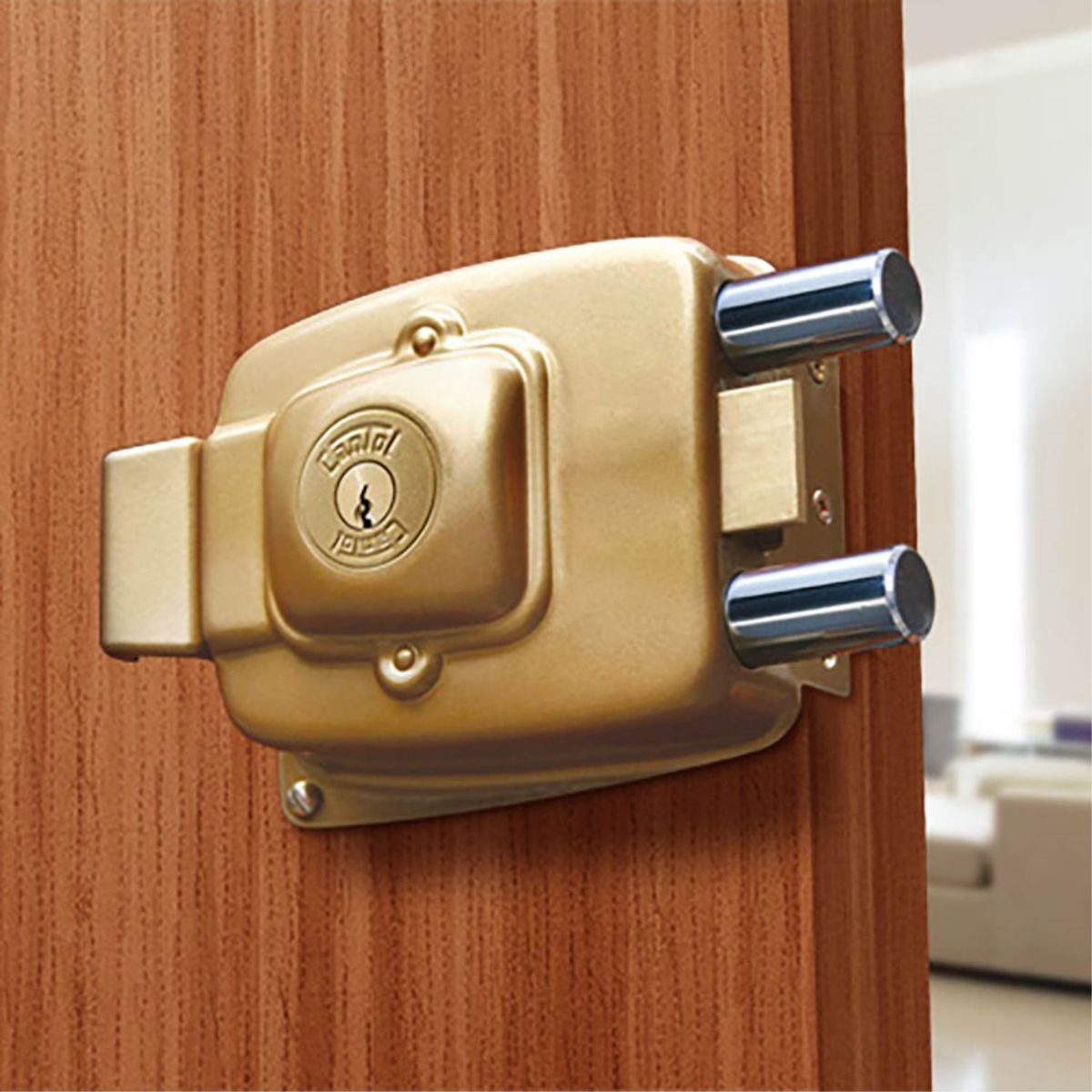 CANTOL - Cerradura de Sobreponer Maxima 1000 Cantol