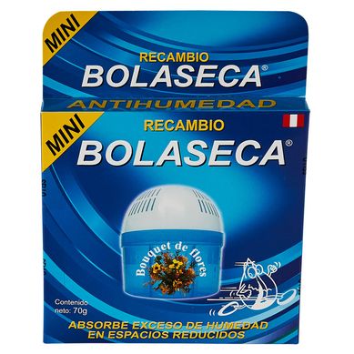 Repuesto Antihumedad Mini Bouquet de Flores 70 gr.