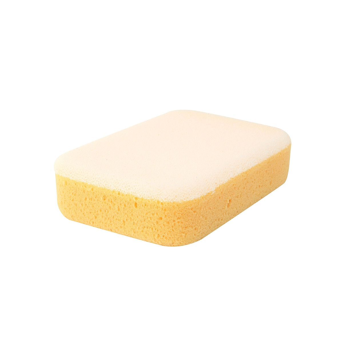 TORREWS - Esponja profesional texturada