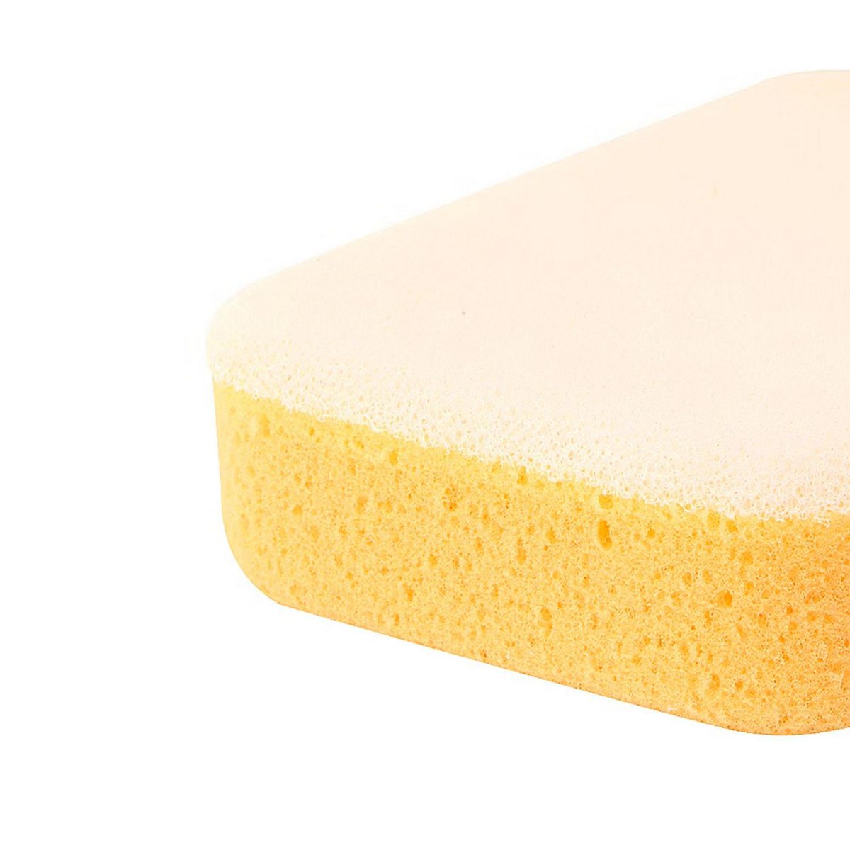 TORREWS - Esponja profesional texturada