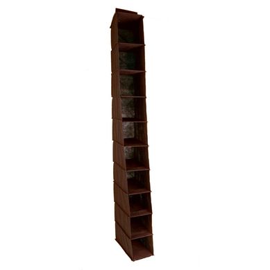 Organizador de Zapatos 10 Divisiones Azul