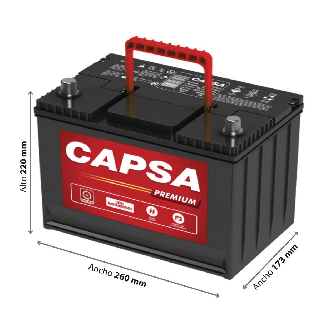 CAPSA - Batería Premium 24 1000/640 Amp/13 Placas (13Ap)