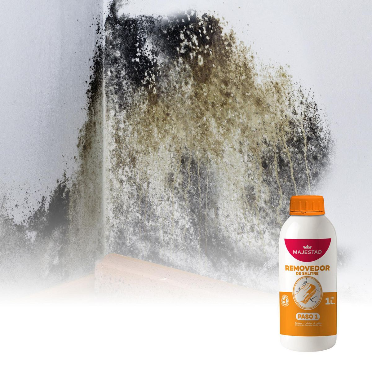 MAJESTAD - Removedor de salitre 1L