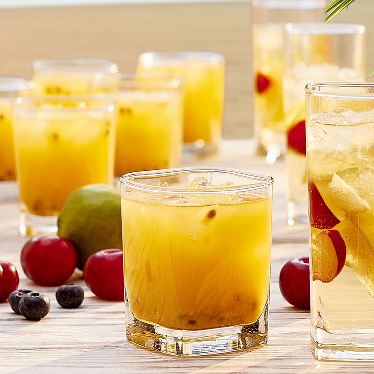 JUST HOME COLLECTION - Set de 6 vasos Schubert Rocks 11 Oz