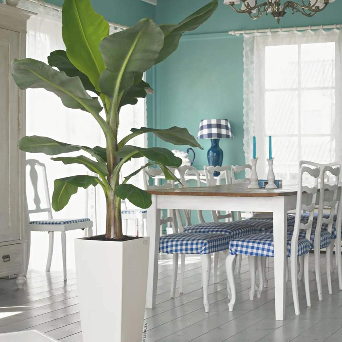 LECHUZA - Maceta autorregante Cúbica 30 x 30 x 56 cm