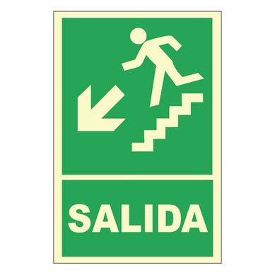 Seal de Escalera Abajo Izquierda Fotoluminiscente 20x30 cm.