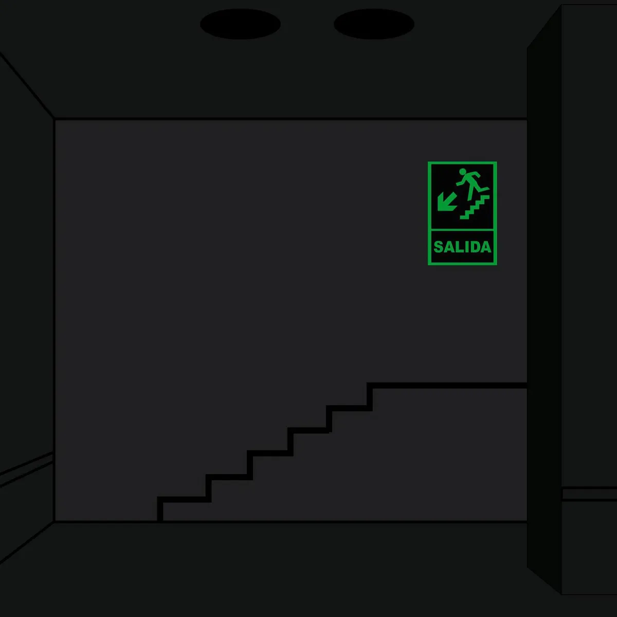 FIXSER - Señal de Escalera Abajo Izquierda Fotoluminiscente 20x30 cm.