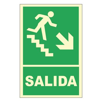 Seal de Escalera Abajo Derecha Fotoluminiscente 20x30 cm.