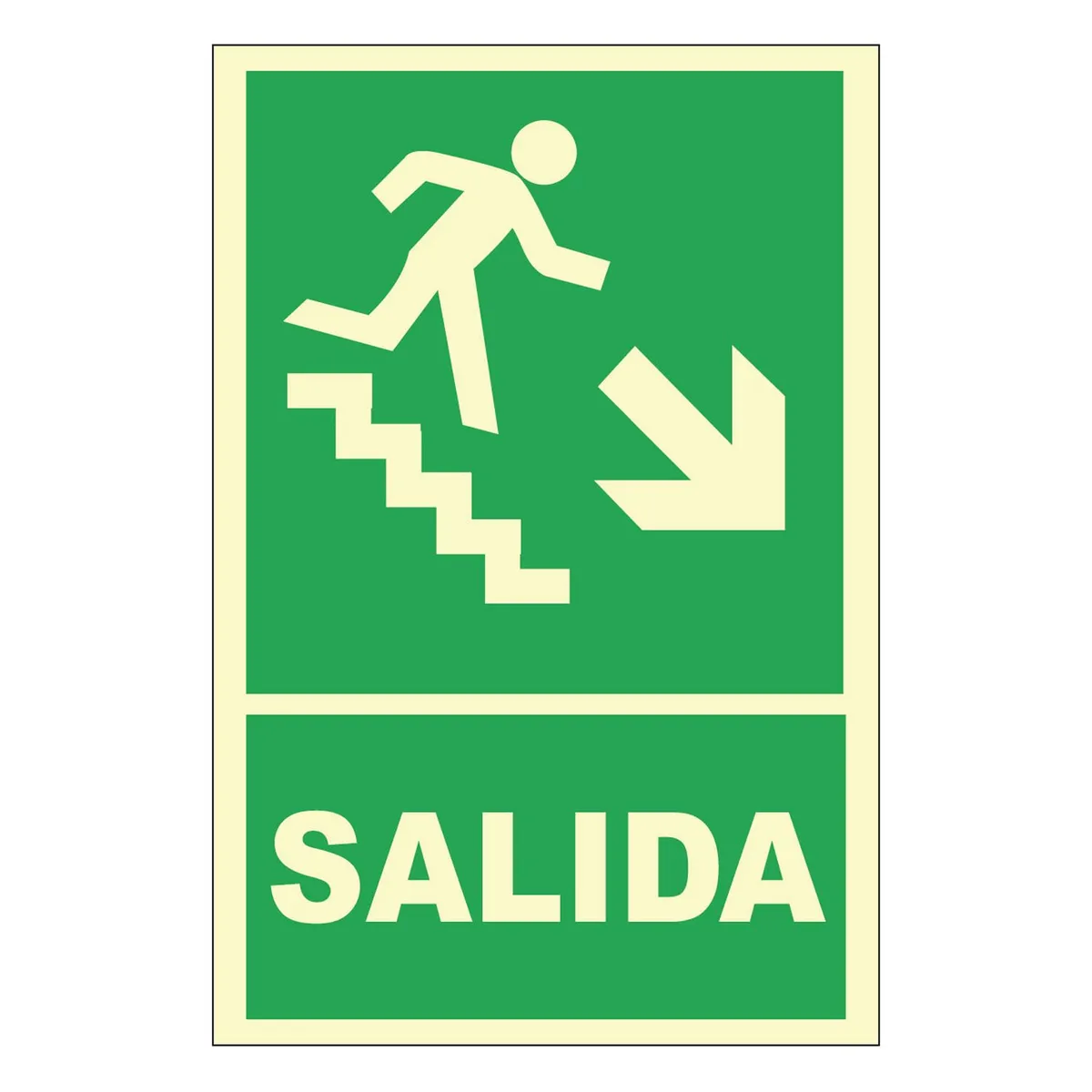 FIXSER - Señal de Escalera Abajo Derecha Fotoluminiscente 20x30 cm.