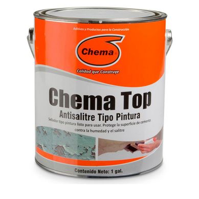 Chema Top antisalitre 1 gl
