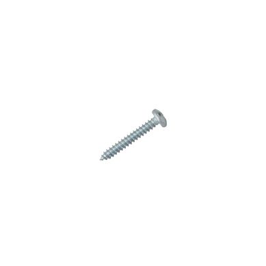 Tornillo Autorroscante Cabeza Pan 10x1 1/4