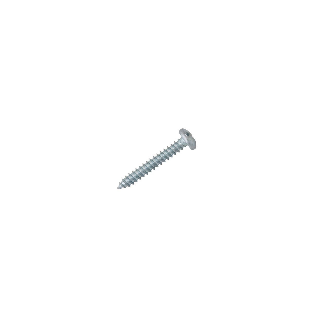 FIXSER - Tornillo Autorroscante Cabeza Pan 10x1 1/4" x 10 unid.