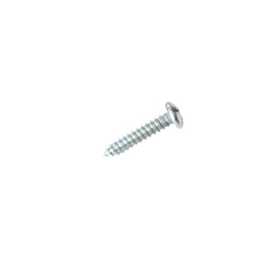 Tornillo Autorroscante Cabeza Pan 10x1