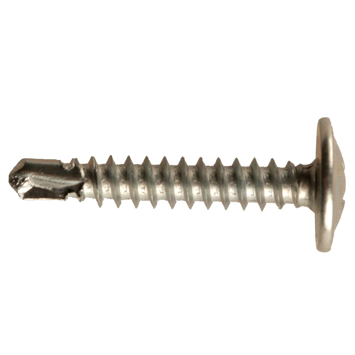 MAMUT - Tornillo Autoperforante Cabeza Lenticular Punta Fina 8x1" x 500 unid