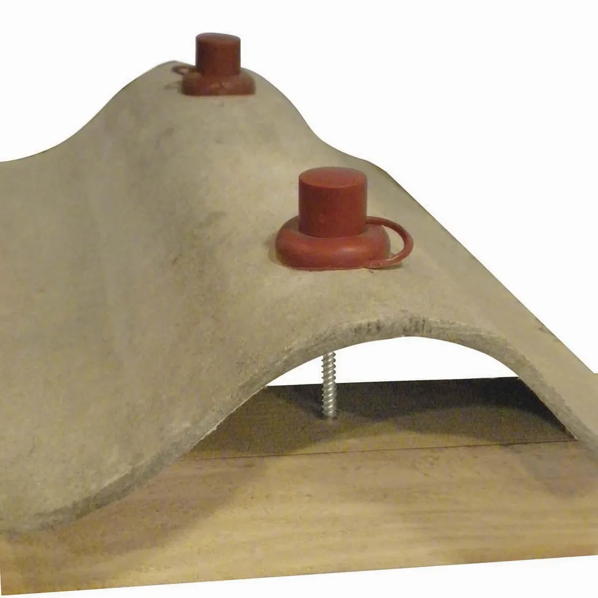 MAMUT - Tirafon con Capuchón 1/4x21/2" x 20 Unidades