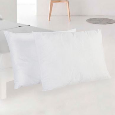 Set x2 Almohadas 65x45cm