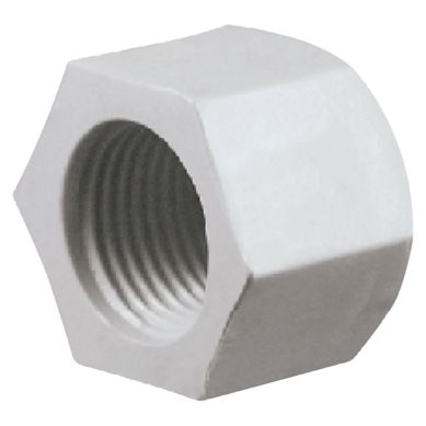 Tapn Hembra PVC 1