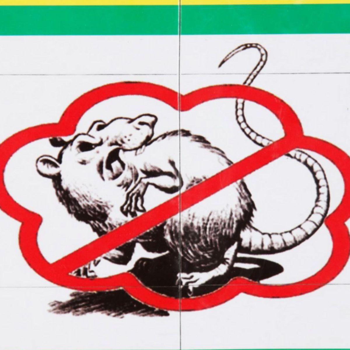 GENERICO - Trampa Adhesiva para Roedores Cartón Verde Amarillo 16.5x21x0.8cm