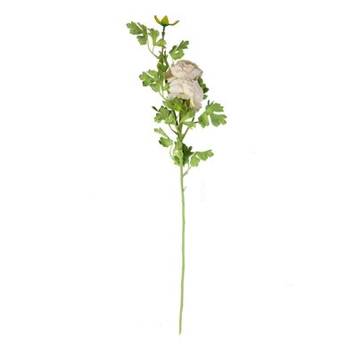 Vara Ranunculos 65 cm