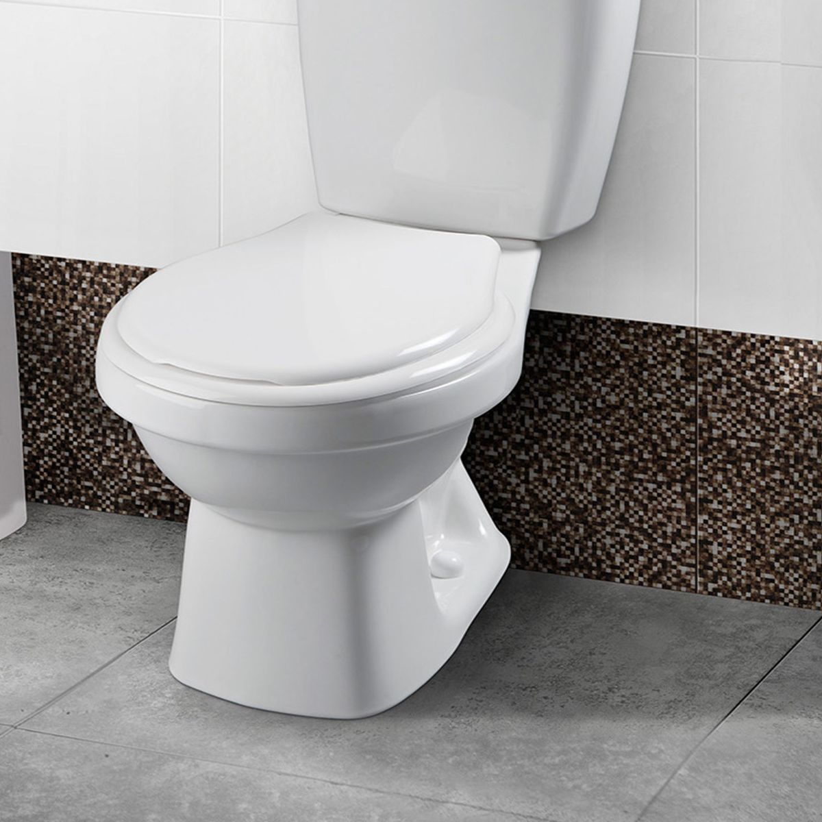 CORONA - Taza Acuacer Laguna Blanco