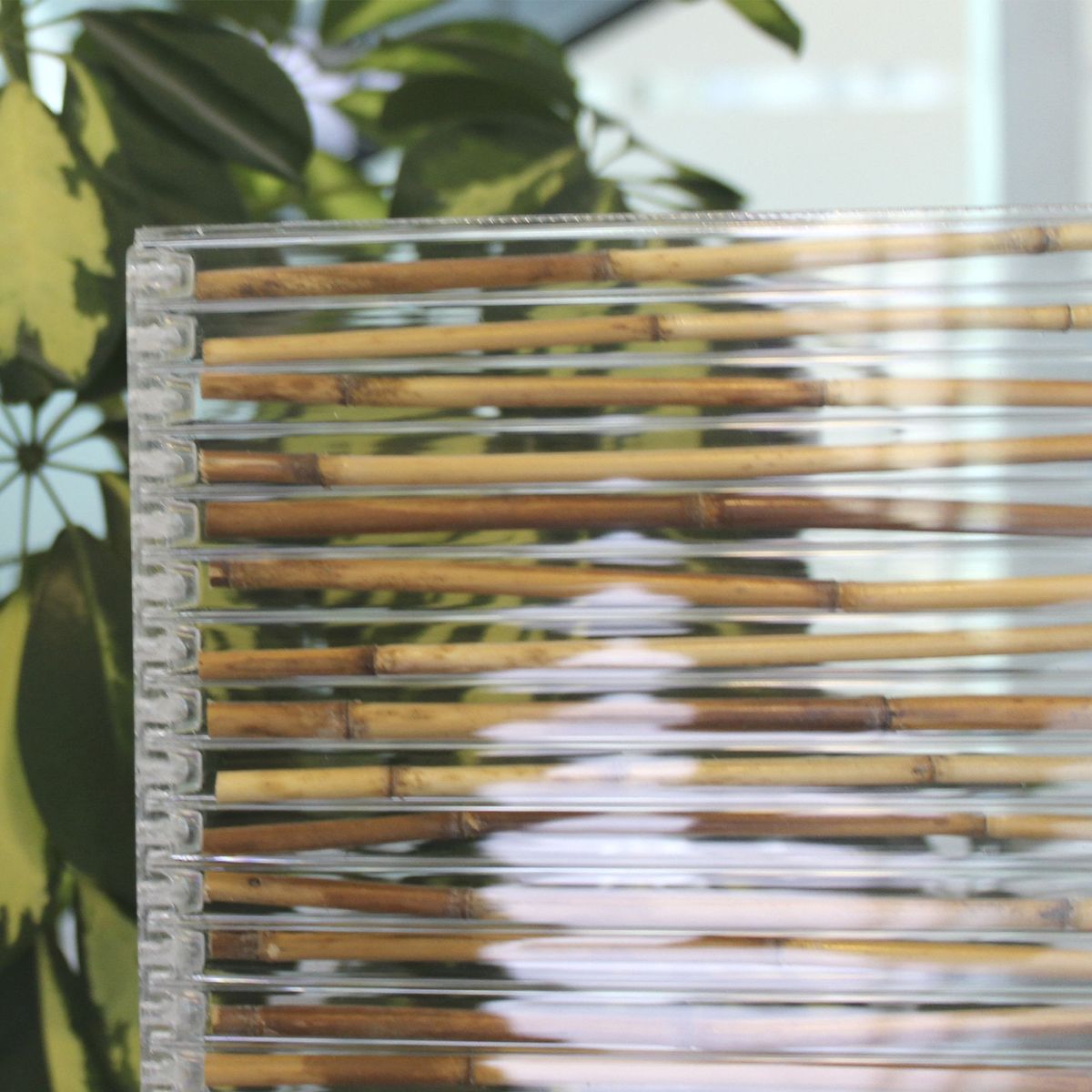 POLYARQ - Techo Policarbonato Bambu Transparente 1x2mx8mm