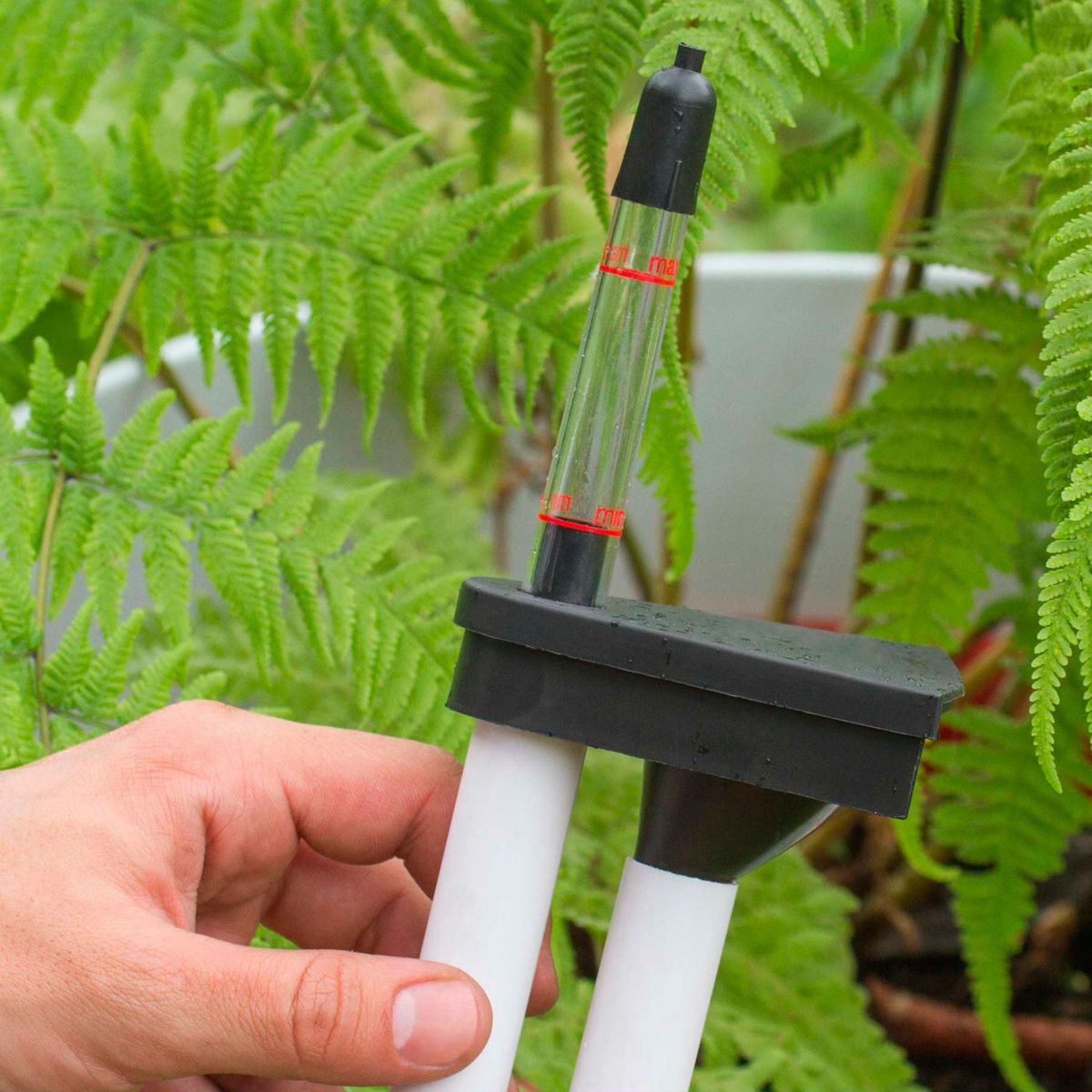 JUST HOME COLLECTION - Maceta Baltas Redonda Blanco 45x42x