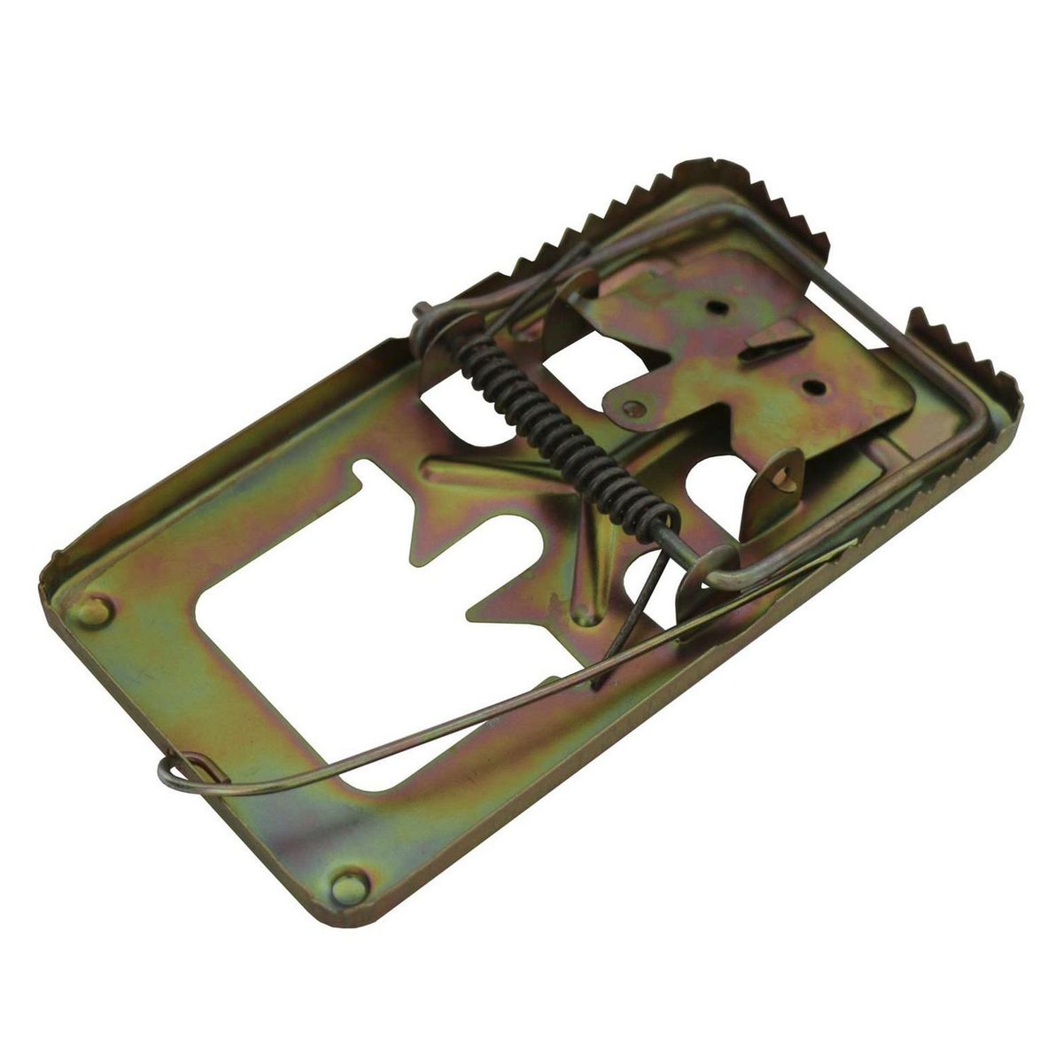 MAJOR - Trampa para ratas de Metal Grande Metal Bronce 8.4x15.5x2cm