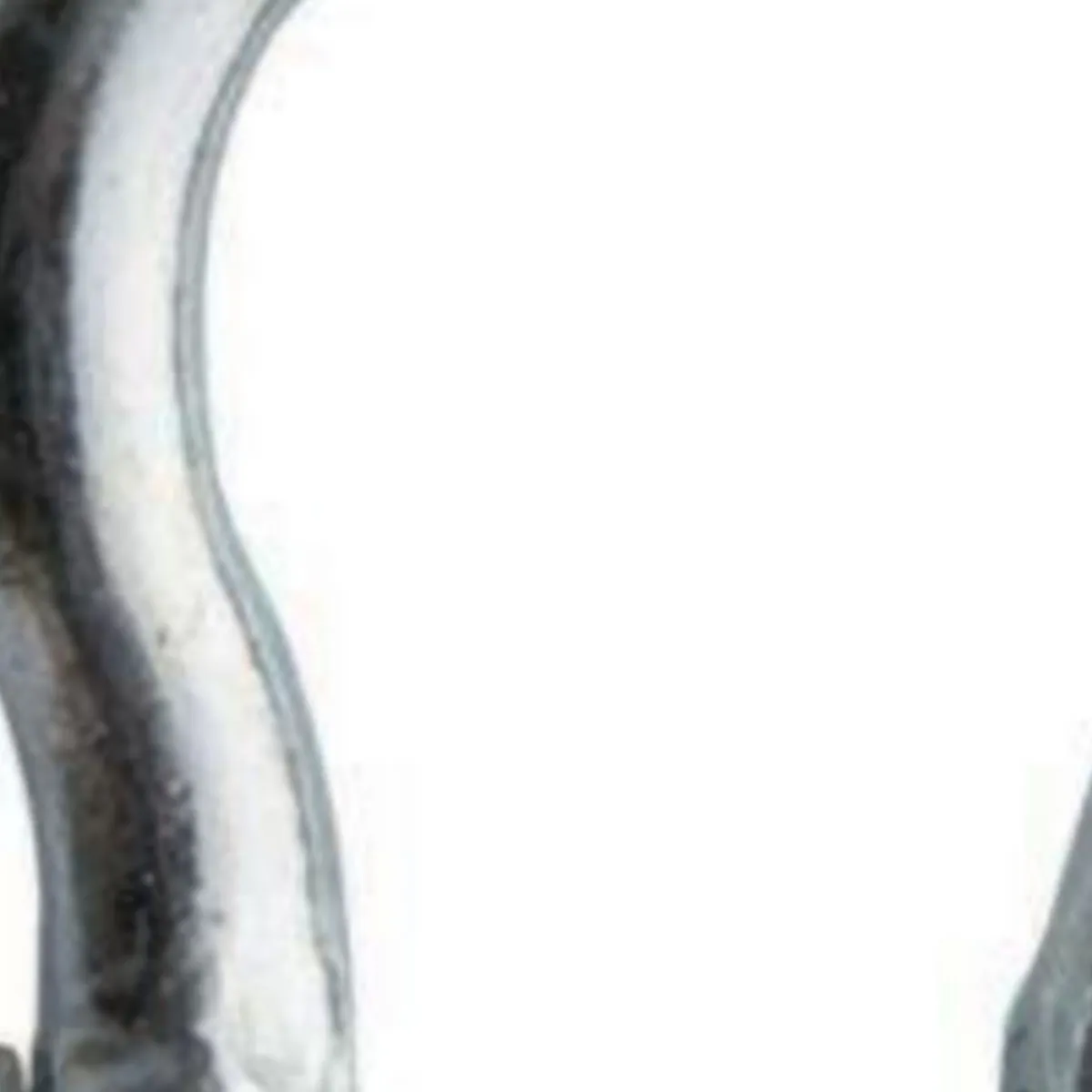 GENERICO - Grillete 1/2'' Plateado