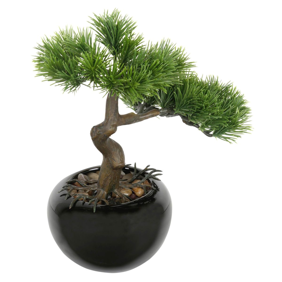 CASA BONITA - Bonsai con maceta 25x15cm