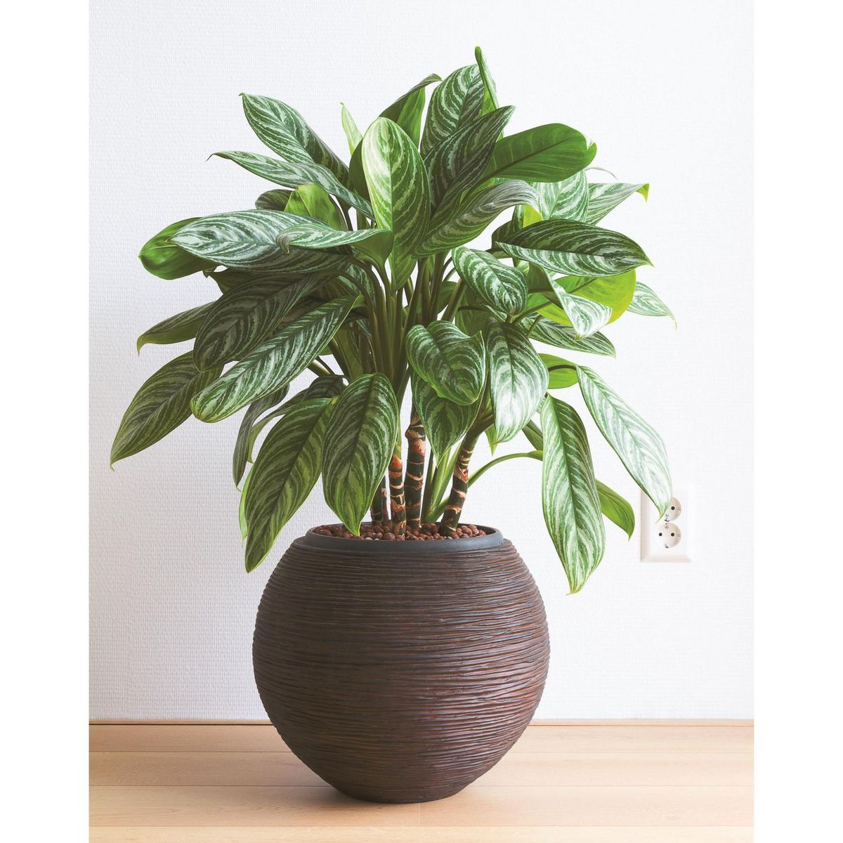 RUST OLEUM - Aerosol protector de superfices metalicas, Metal Protection Martillado Marrón 340 Gr