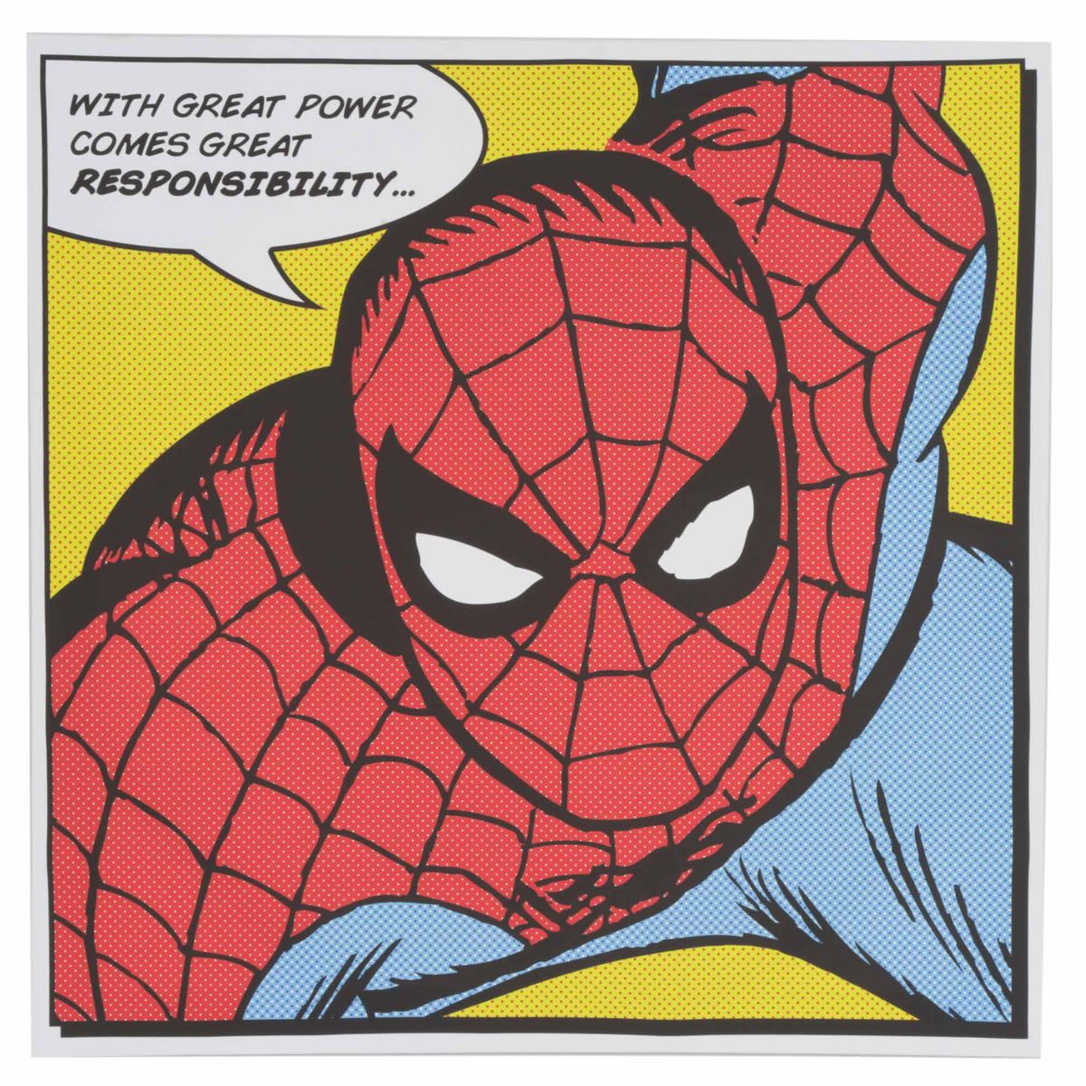 MARVEL - Cuadro Spiderman 40x40cm