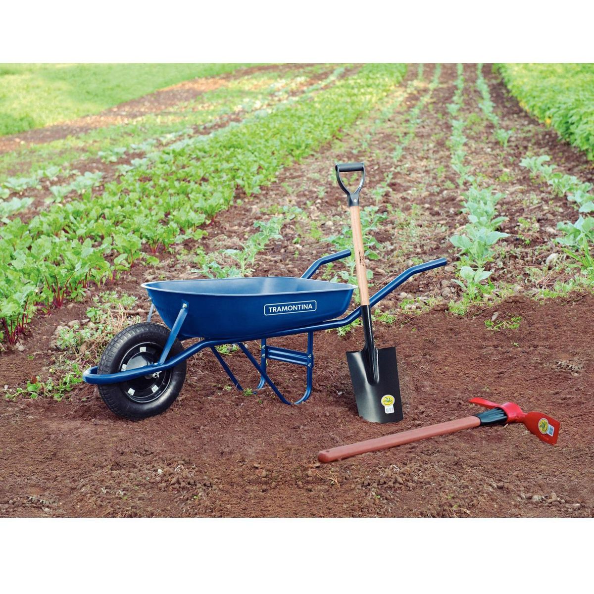 TRAMONTINA - Pala Punta Redonda Acero Negro 26.9x14.5x