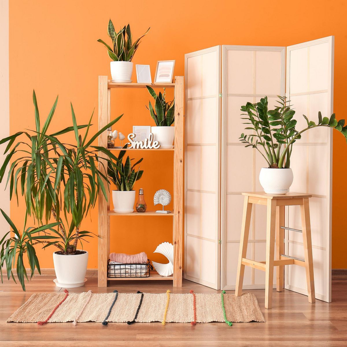 MADERERA ANDINA - Madera Pino Radiata 3/4" X 8" X 10.5' 