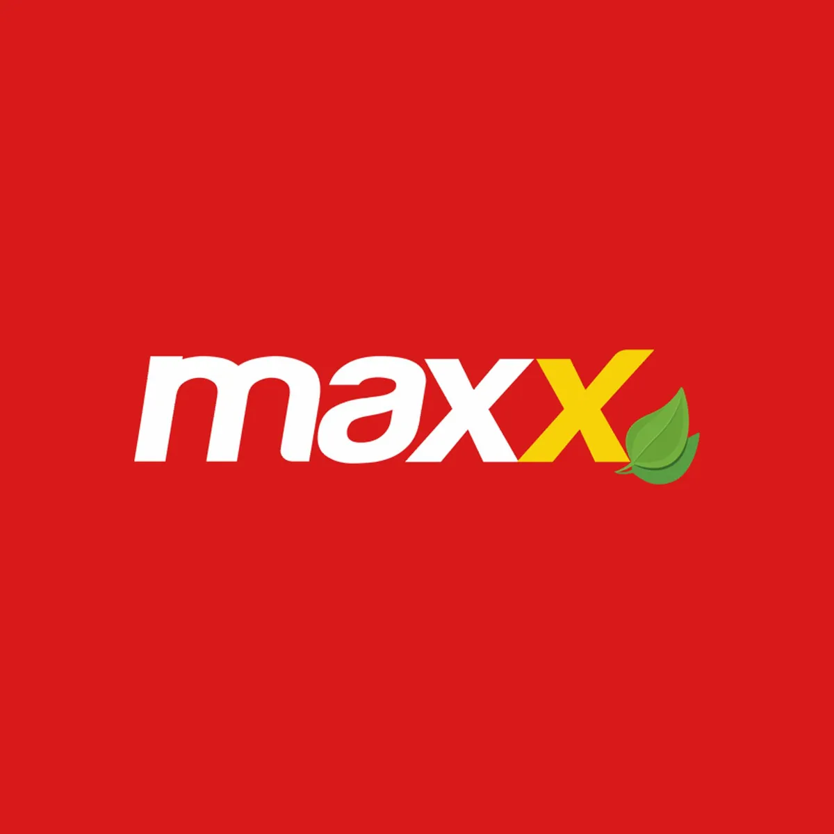 MAXX - Ladrillo Techo h12 Maxx