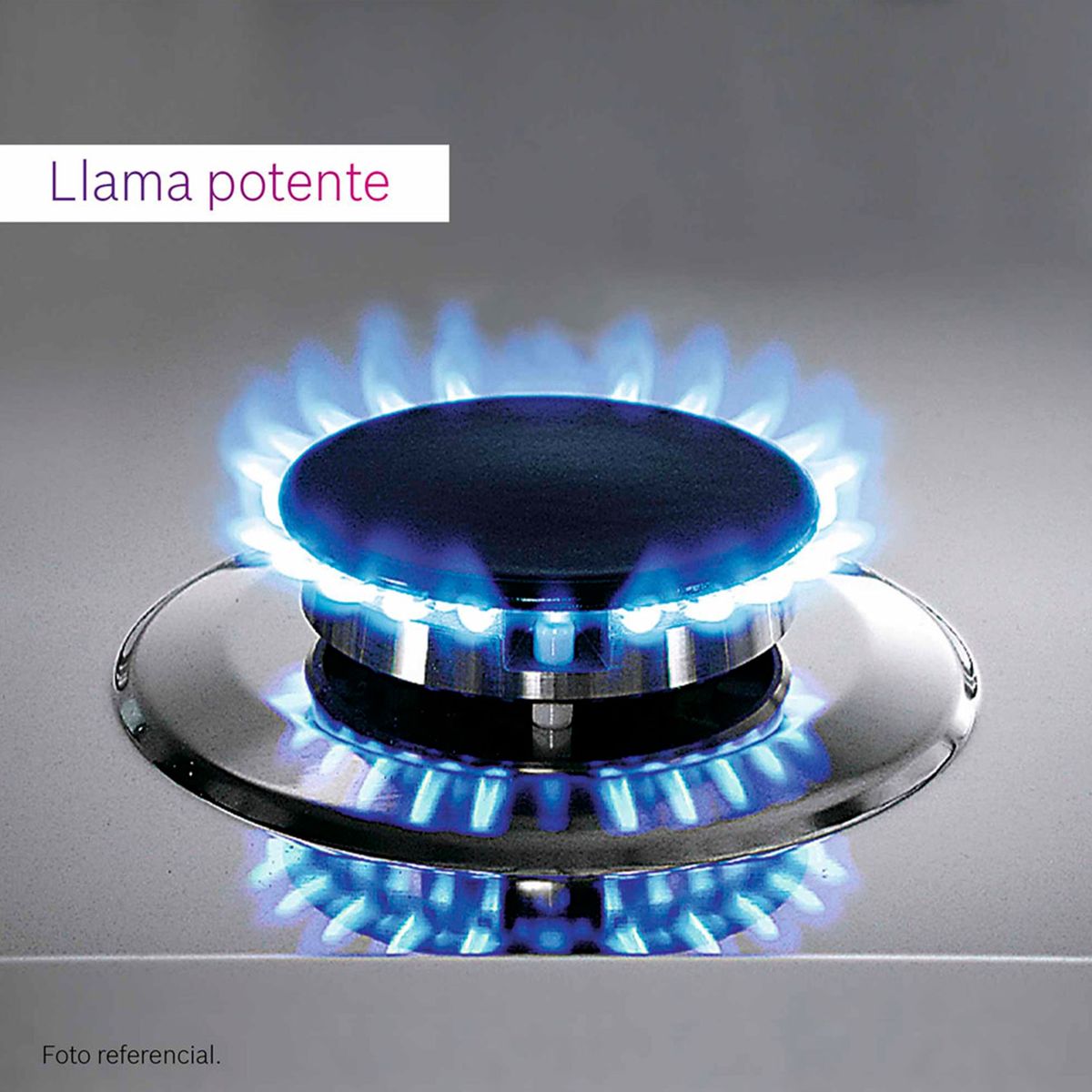 BOSCH - Cocina Bosch a Gas 4 Hornillas PRO425 Inox