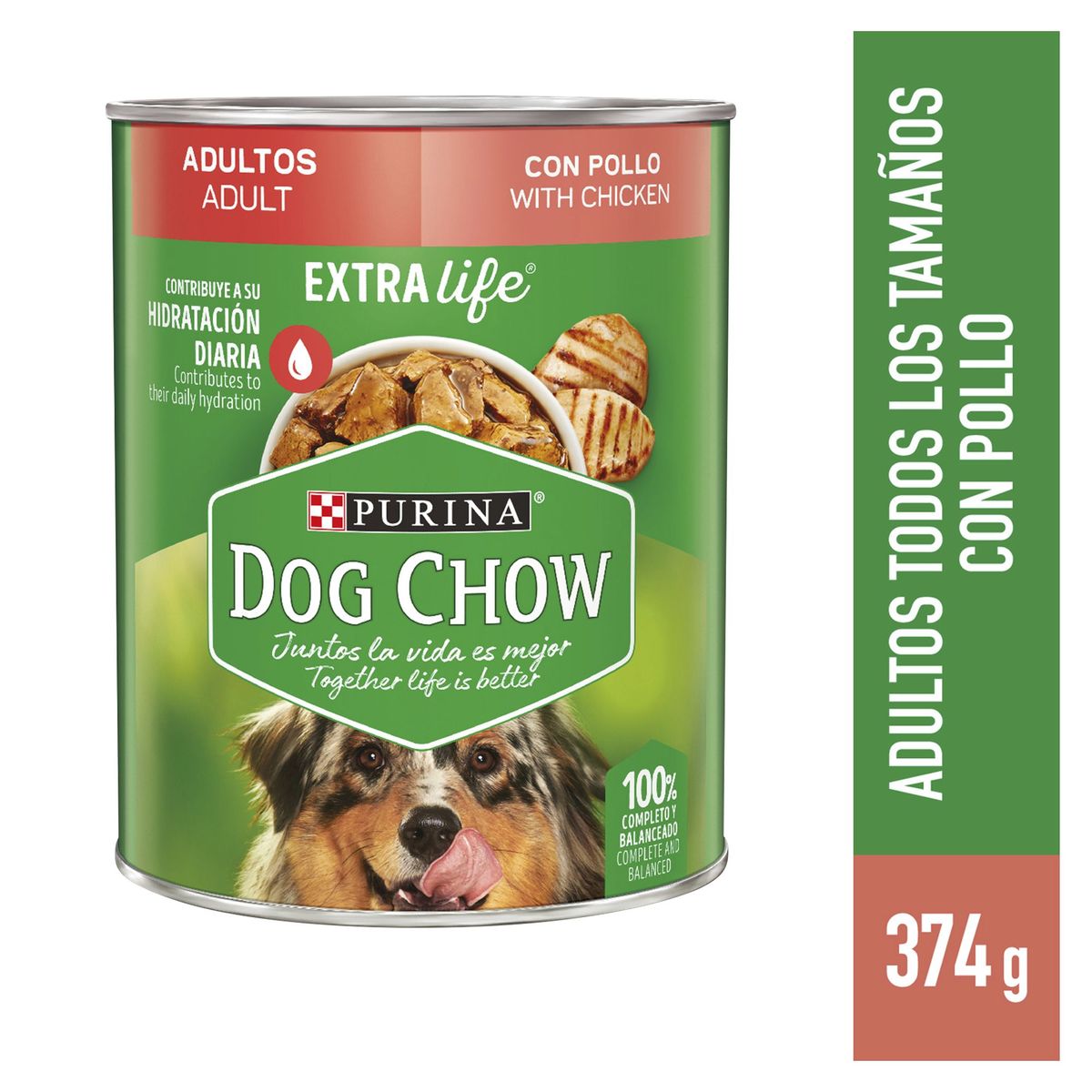 DOG CHOW - Dog Chow Adultos Alimento Húmedo para Perros 368gr Pollo