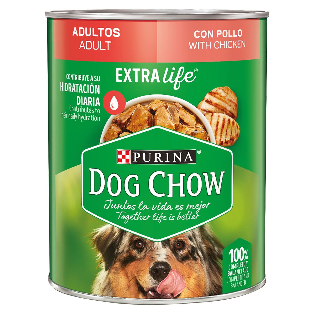 DOG CHOW - Dog Chow Adultos Alimento Húmedo para Perros 368gr Pollo