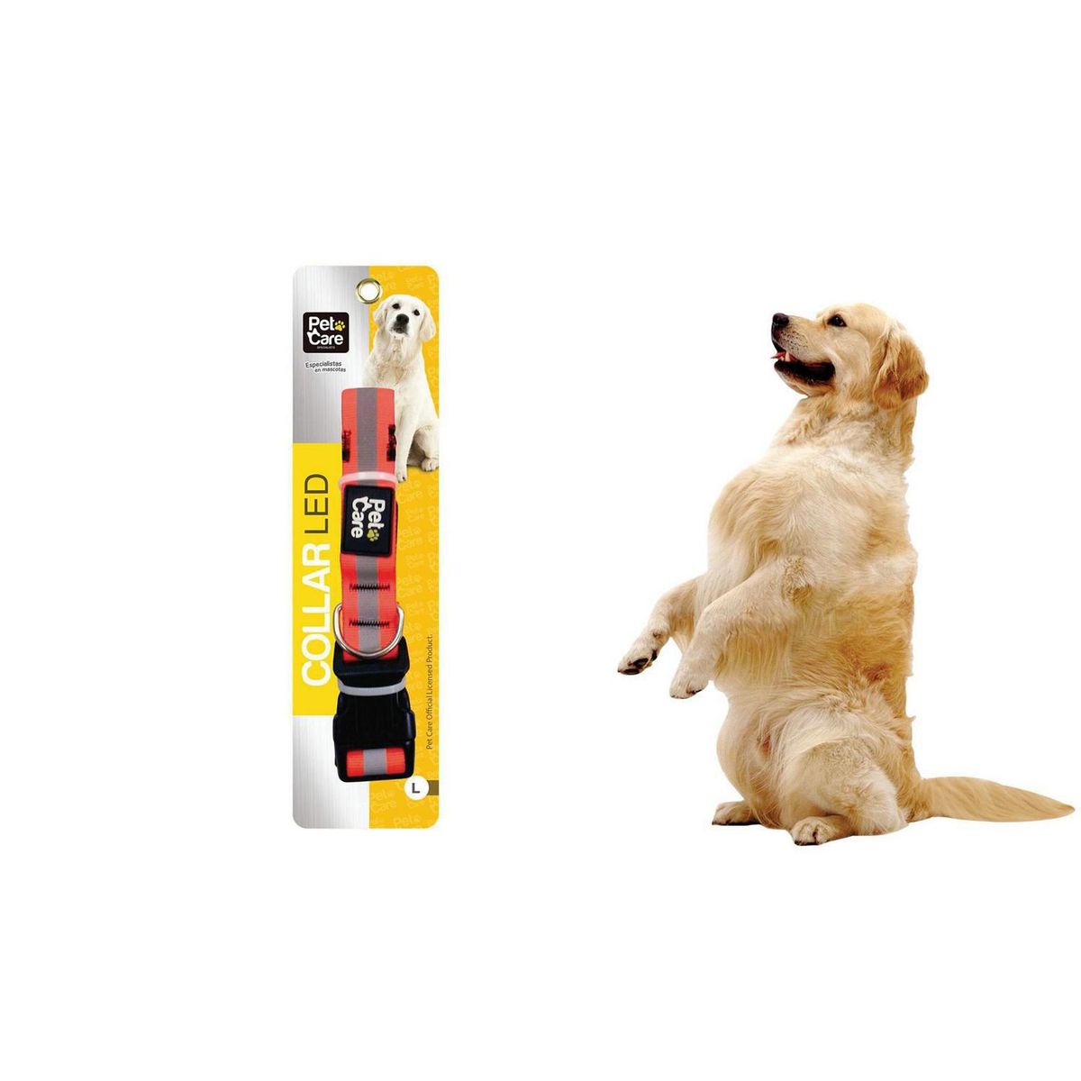 PET CARE - Collar Led para Perros L