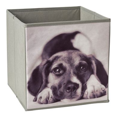 Caja perro vista  27x28x27cm 