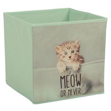 Caja Meow 27x28x27cm 
