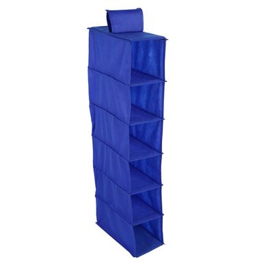 Organizador de Zapatos 6 Divisiones Azul