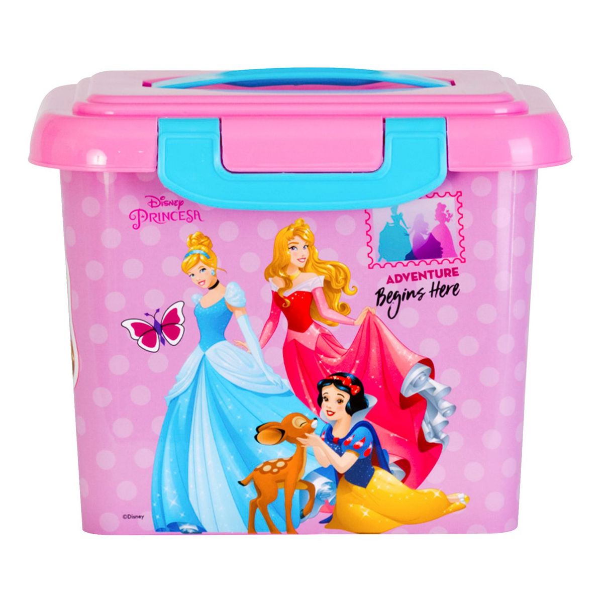 GENERICO - Cajita 4 Princesas envase 4L