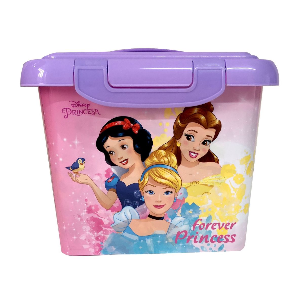 GENERICO - Cajita 4 Princesas envase 4L