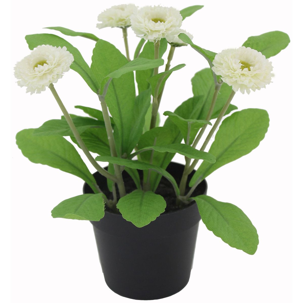 JUST HOME COLLECTION - Mini Daisy 22cm